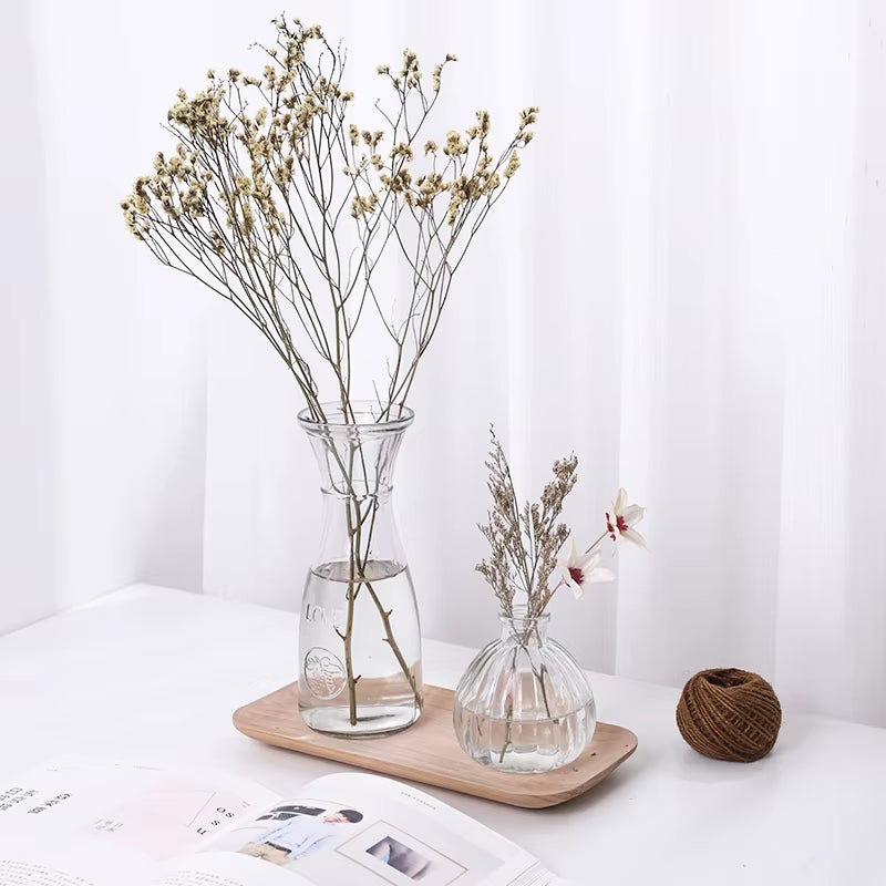 Hydroponic Plants Vase Simple Creative Glass Vase Home Decorative Table Transparent Flower Vase