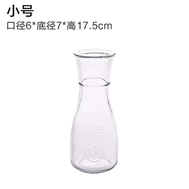 Hydroponic Plants Vase Simple Creative Glass Vase Home Decorative Table Transparent Flower Vase