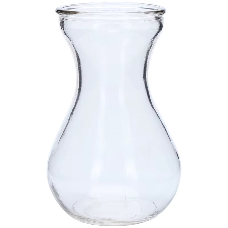Hydroponic Plants Vase Simple Creative Glass Vase Home Decorative Table Transparent Flower Vase