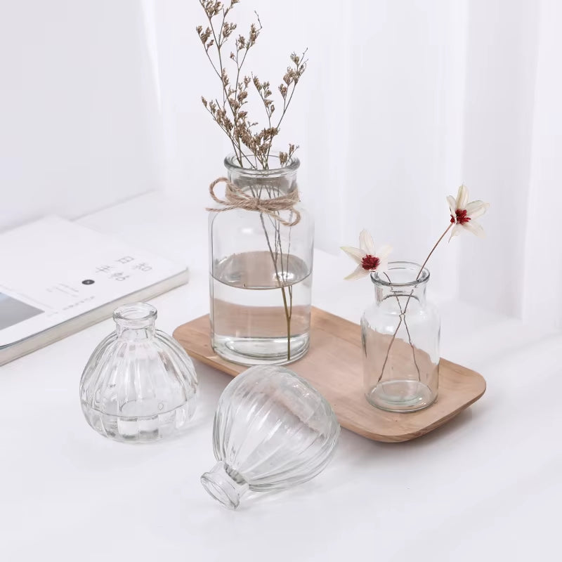 Hydroponic Plants Vase Simple Creative Glass Vase Home Decorative Table Transparent Flower Vase