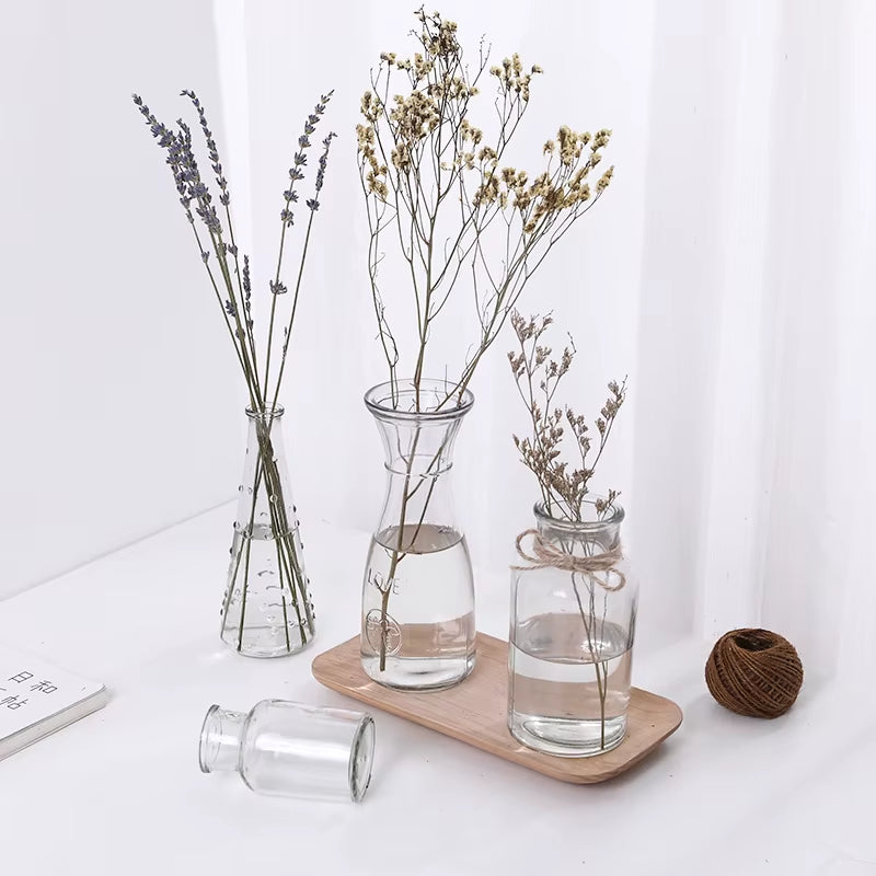 Hydroponic Plants Vase Simple Creative Glass Vase Home Decorative Table Transparent Flower Vase