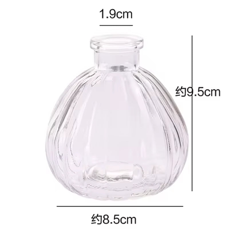 Hydroponic Plants Vase Simple Creative Glass Vase Home Decorative Table Transparent Flower Vase