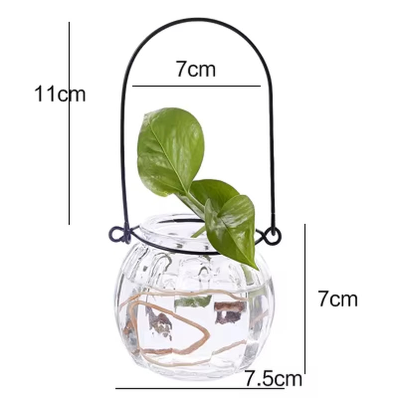 Hydroponic Plants Vase Simple Creative Glass Vase Home Decorative Table Transparent Flower Vase