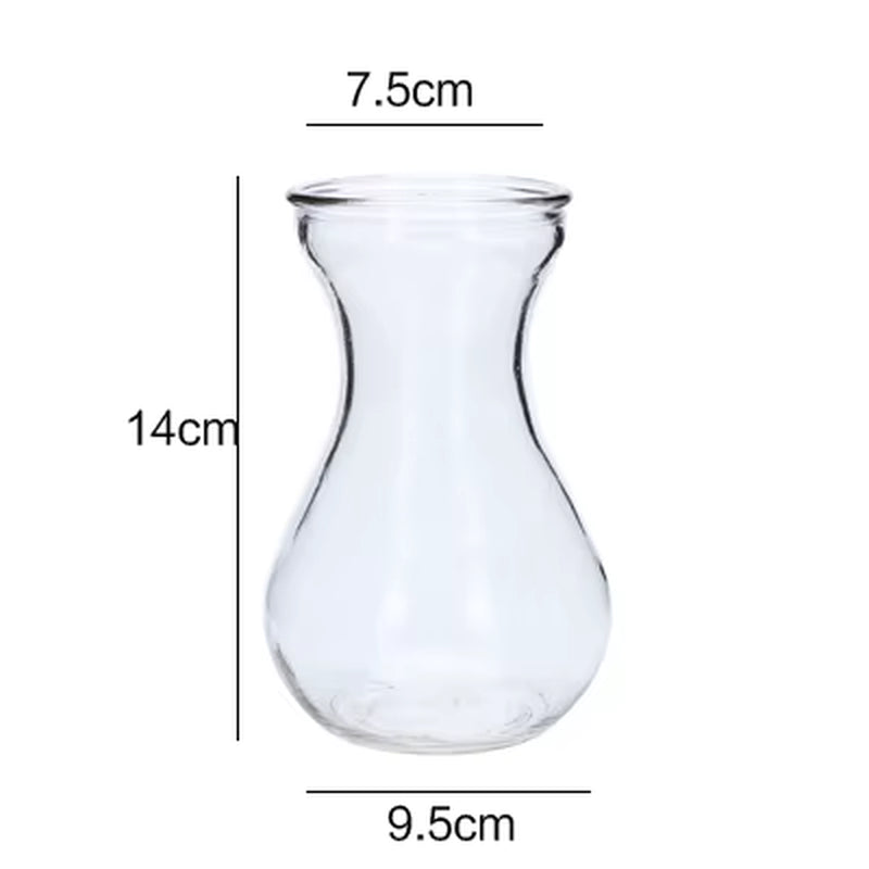 Hydroponic Plants Vase Simple Creative Glass Vase Home Decorative Table Transparent Flower Vase
